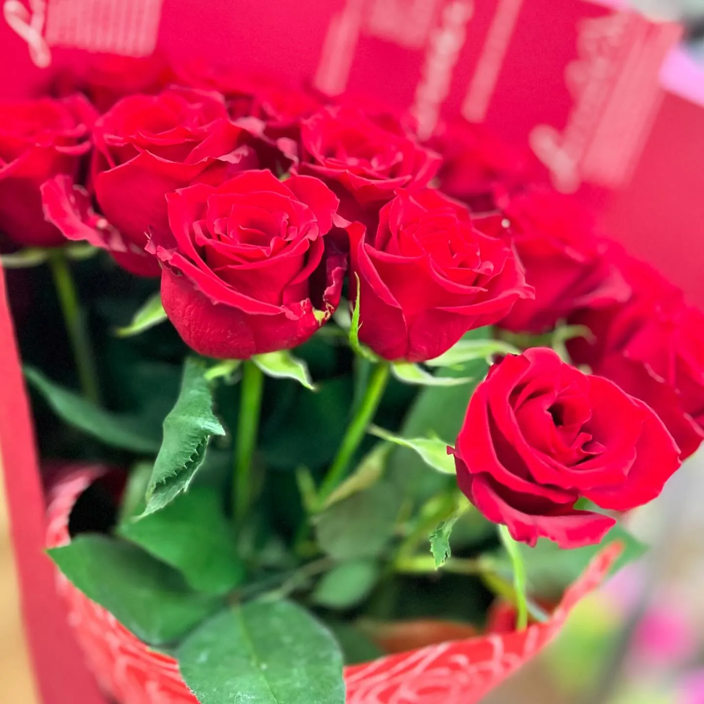 ❤︎ᕼᗩᑭᑭY ᗷIᖇTᕼᗞᗩY❤︎flower...