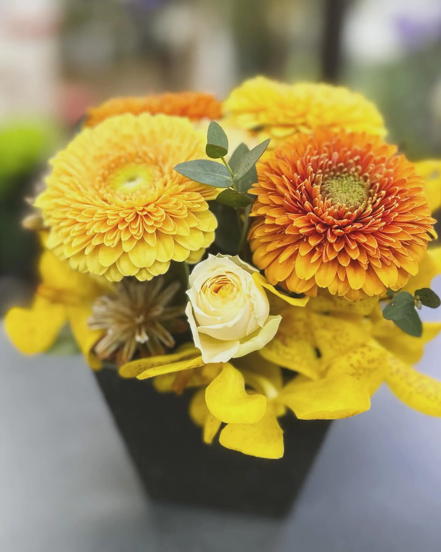 ๐๐๐ก๐ก๐ช ๐น๐๐ฃ๐ฅ๐๐๐๐ช flowers*+:โข*โ:โก...