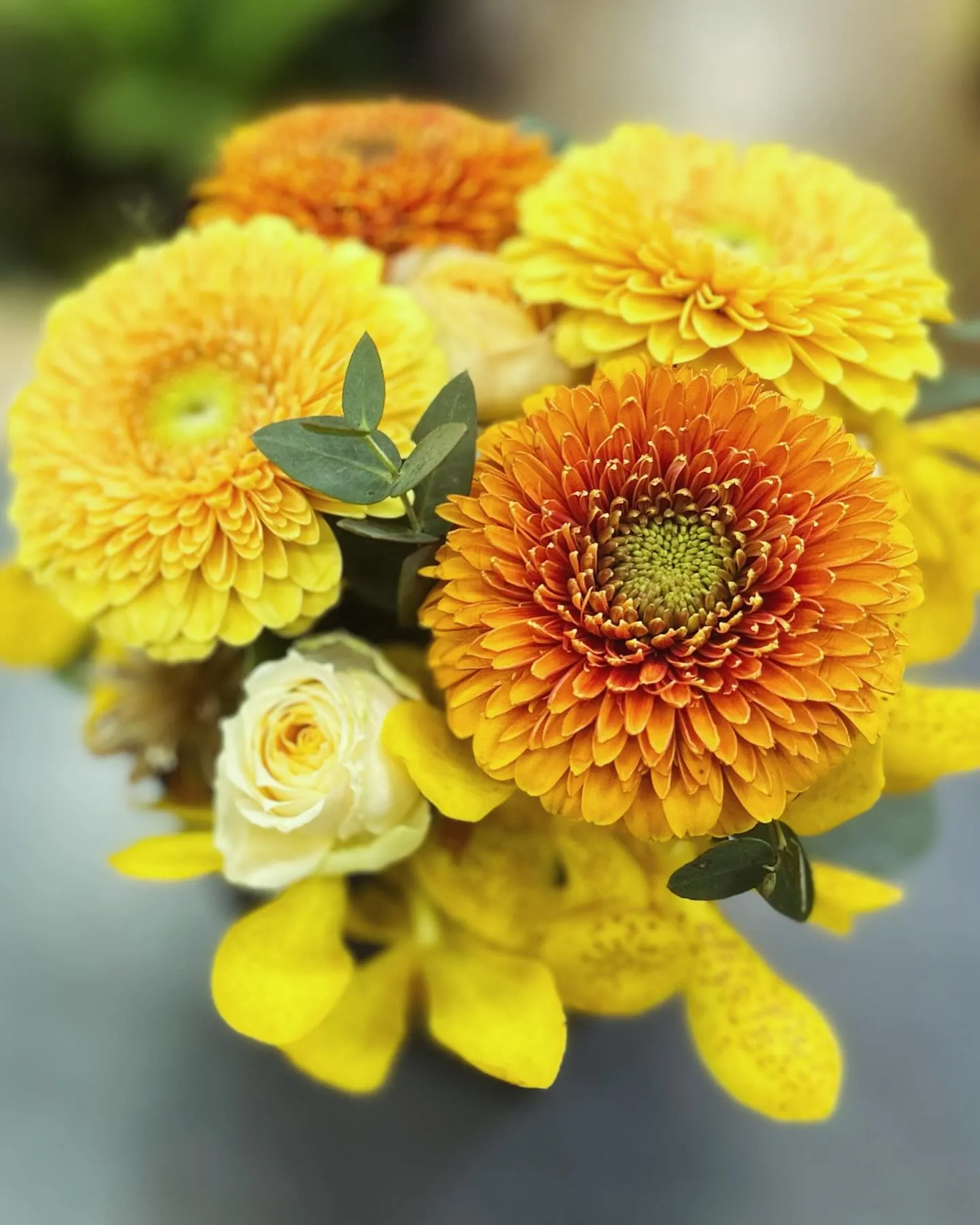 ๐๐๐ก๐ก๐ช ๐น๐๐ฃ๐ฅ๐๐๐๐ช flowers*+:โข*โ:โก...