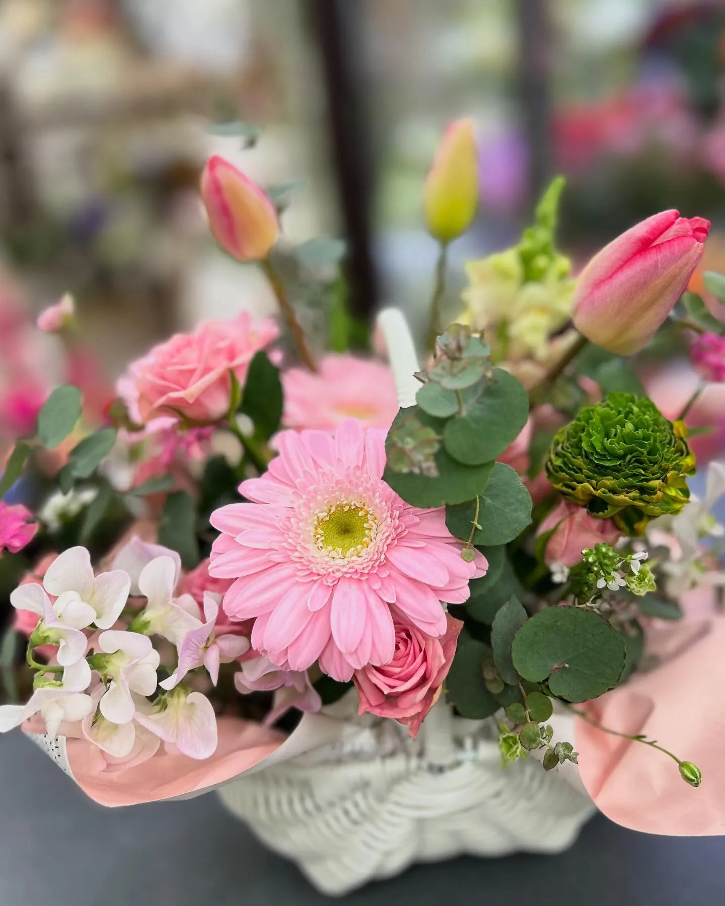 𝑠𝑝𝑟𝑖𝑛𝑔｡❀flowers🌷ஐ೨🌸🍀