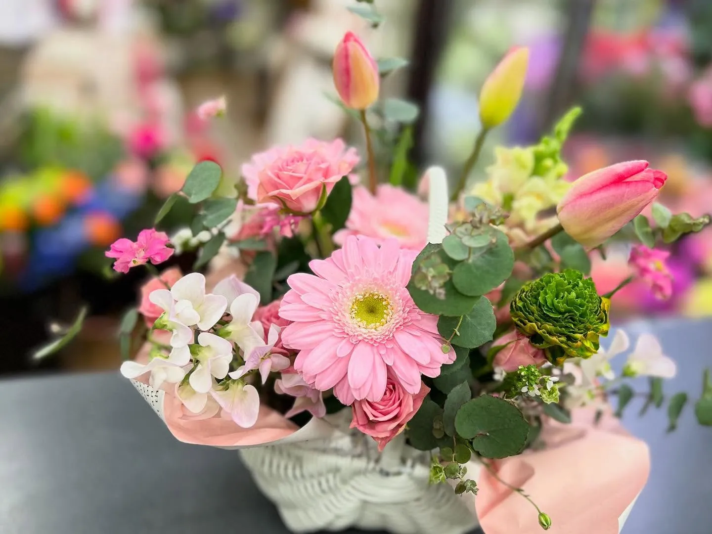𝑠𝑝𝑟𝑖𝑛𝑔｡❀flowers🌷ஐ೨🌸🍀