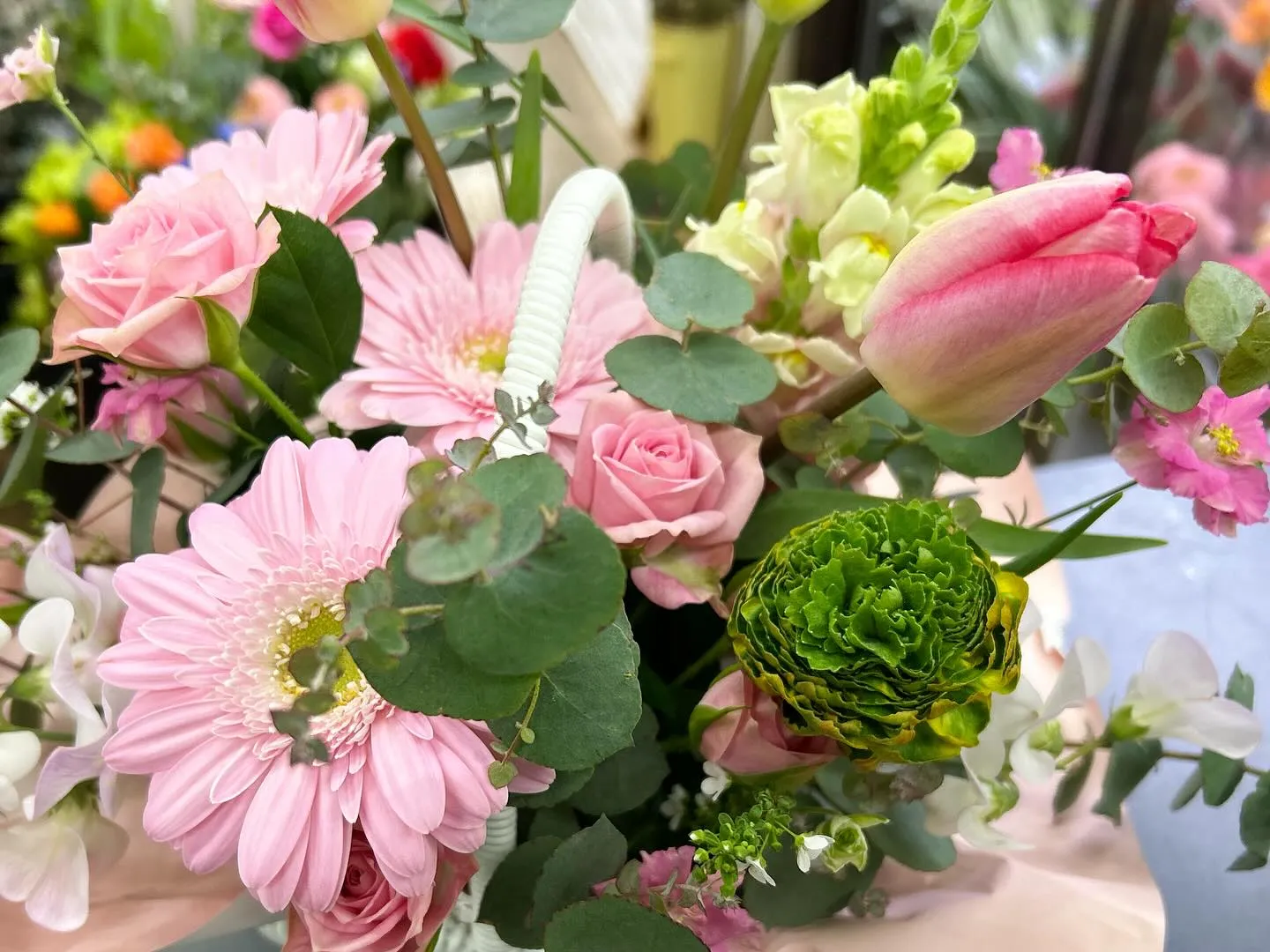 𝑠𝑝𝑟𝑖𝑛𝑔｡❀flowers🌷ஐ೨🌸🍀