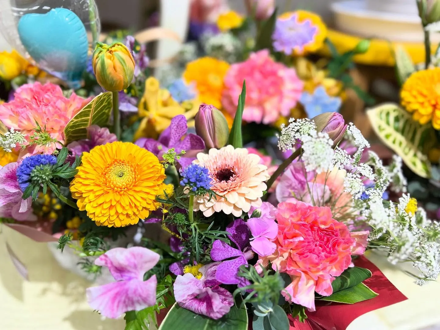 本日、明日は郡市小学校の卒業式☆.。.:*・