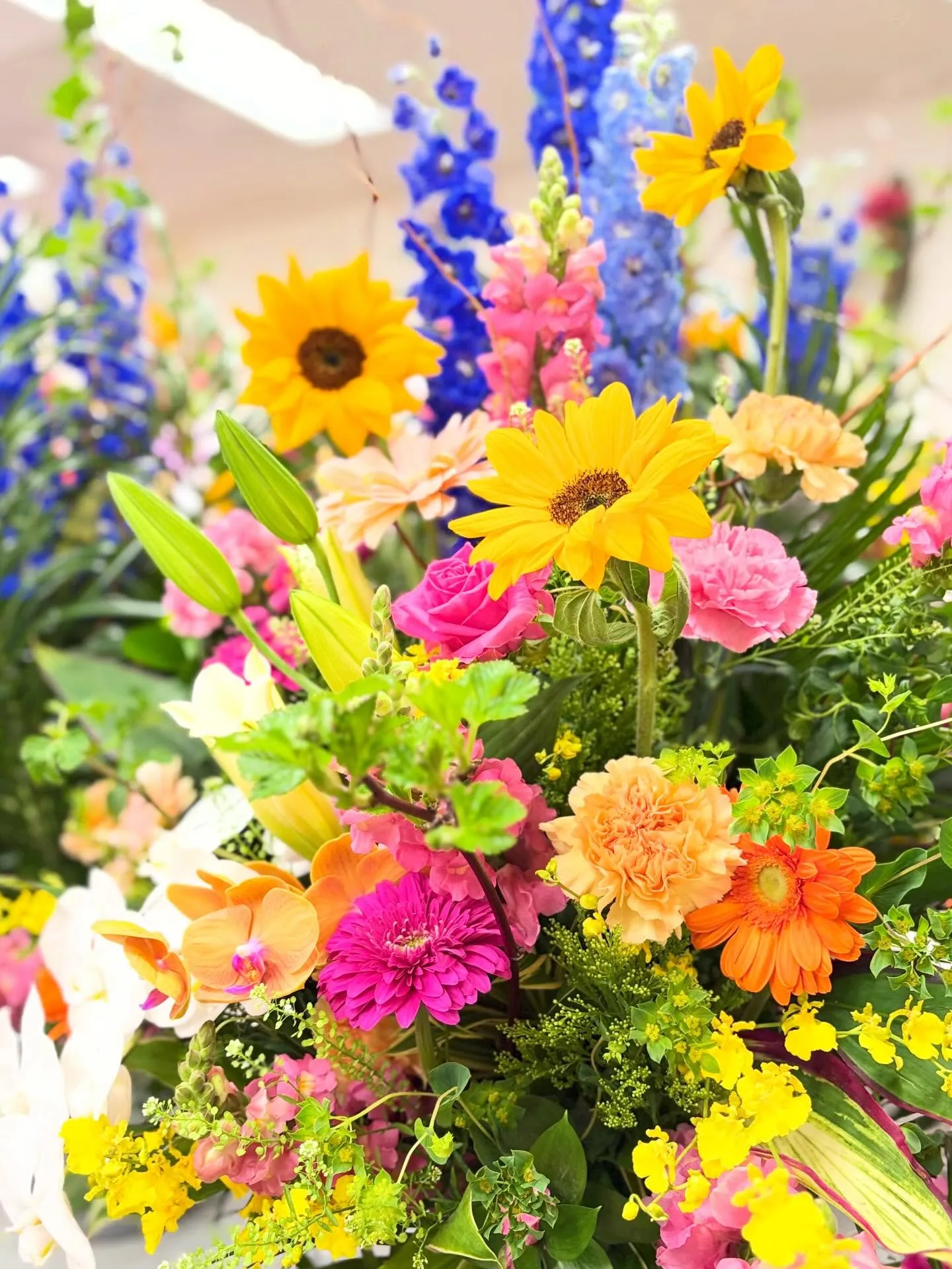 昨日今日と郡市の小中学校 義務教育学校の入学式*:*.·°...