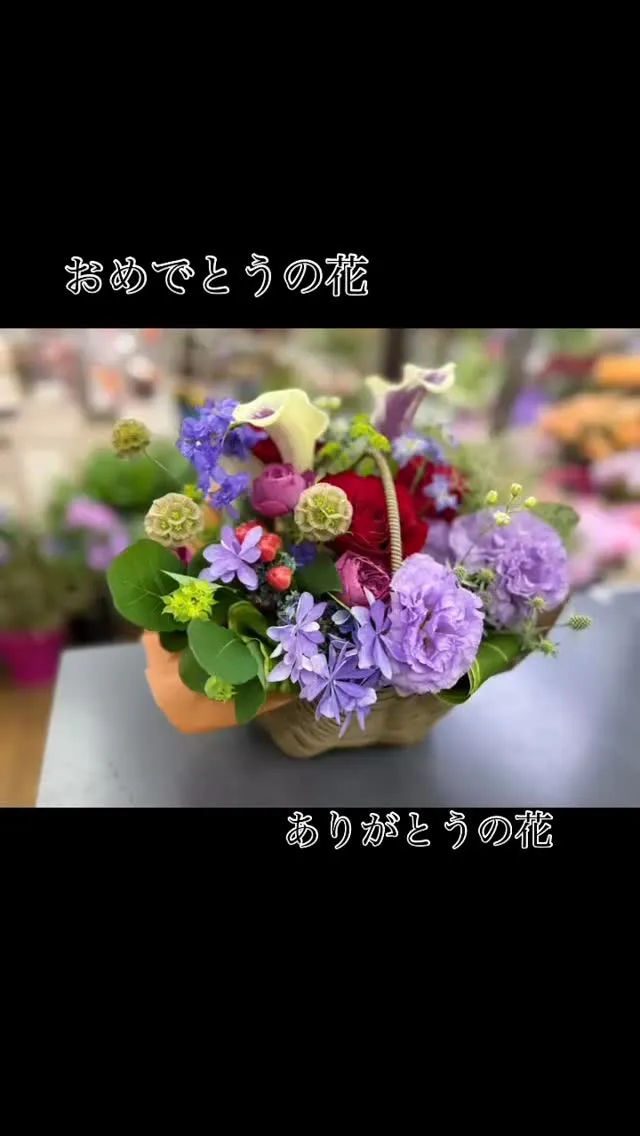 おめでとうの花✿ありがとうの花✿ᵕ̈*